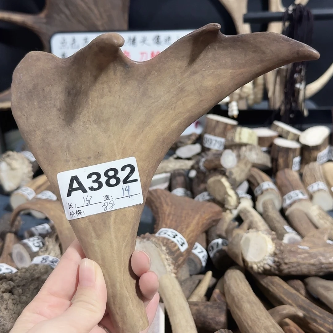 把件橄榄核鹿角A382