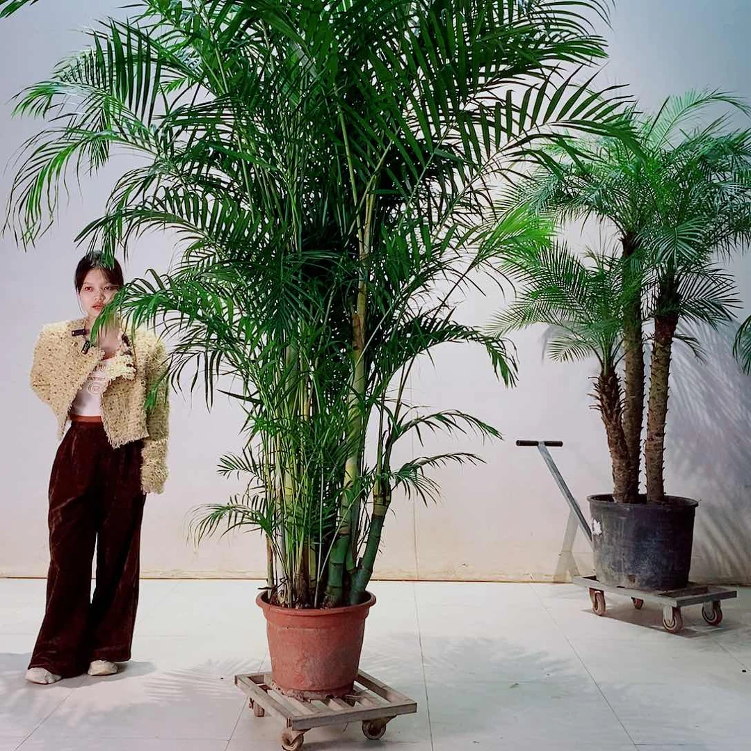 无花朵大****厂1688888888