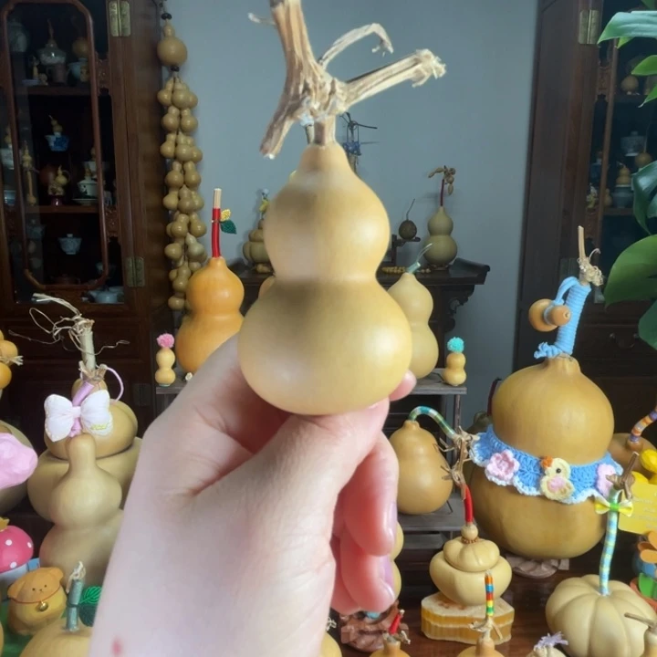 福福葫芦响籽葫芦