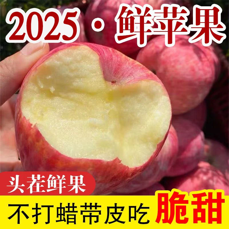 2025年头茬红富士苹果 坏果包赔 多仓发货4
