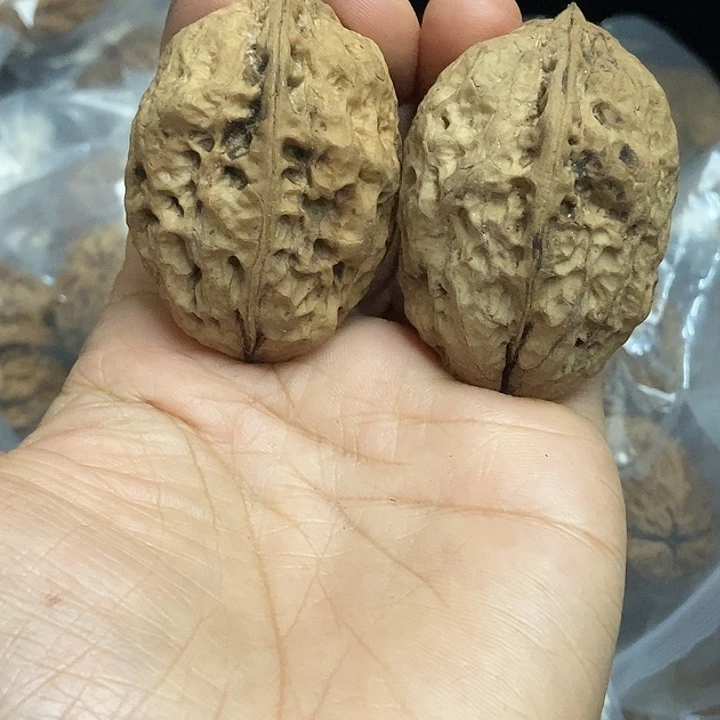 文玩核桃把件云南铁核桃基地79