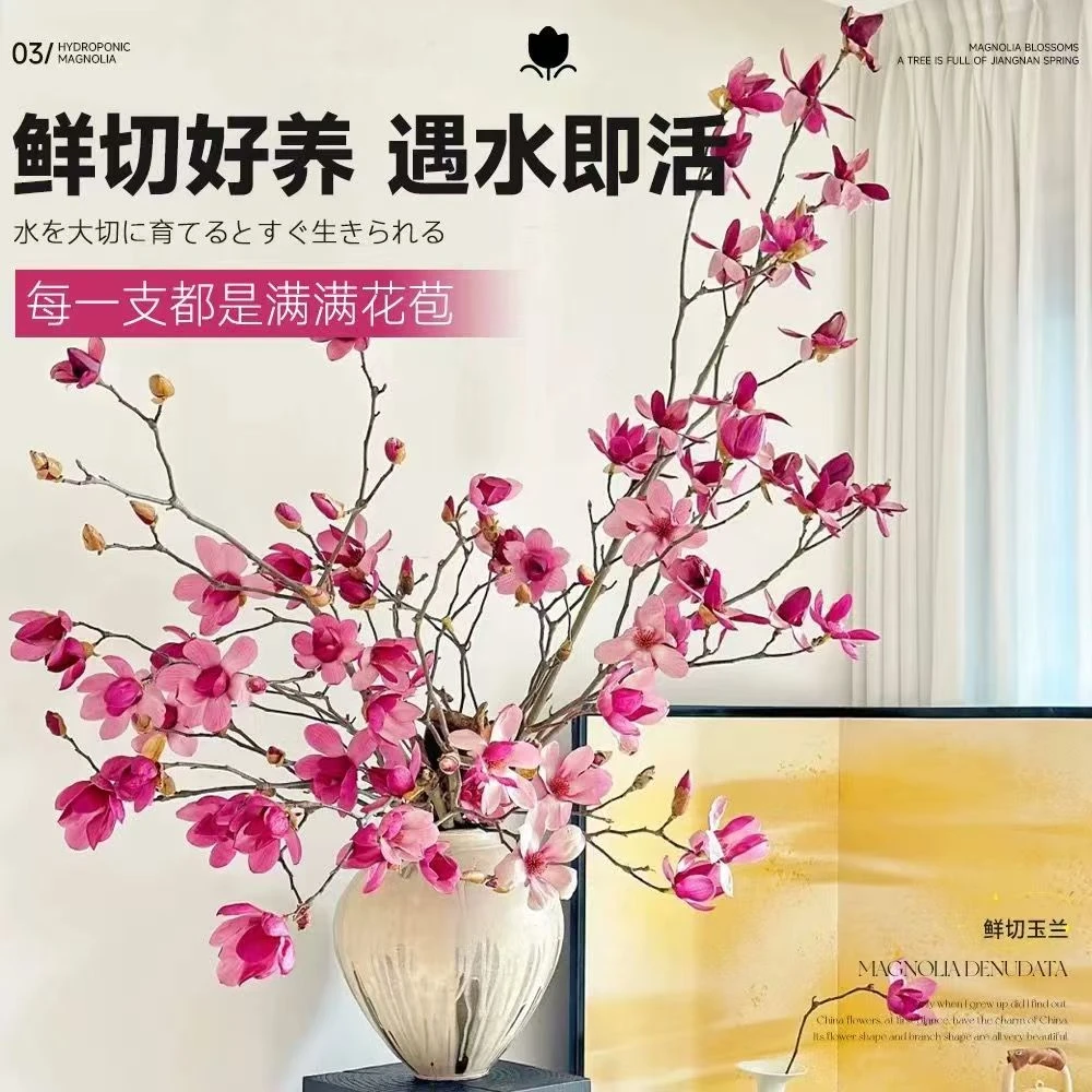 水培玉兰花鲜枝带花苞水培植物室内好养易活森系植物四季开花绿植