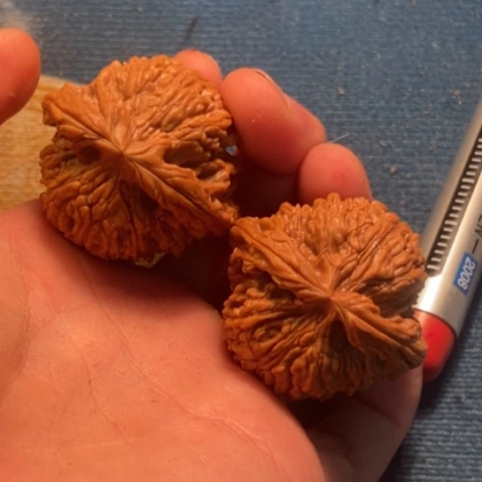 吊坠桃核全品南疆42