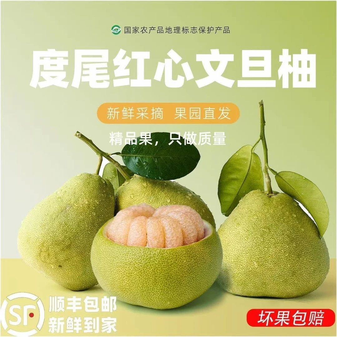 正宗仙游度尾文旦柚老树柚孕妇柚子新鲜水果现摘现发肉嫩多汁
