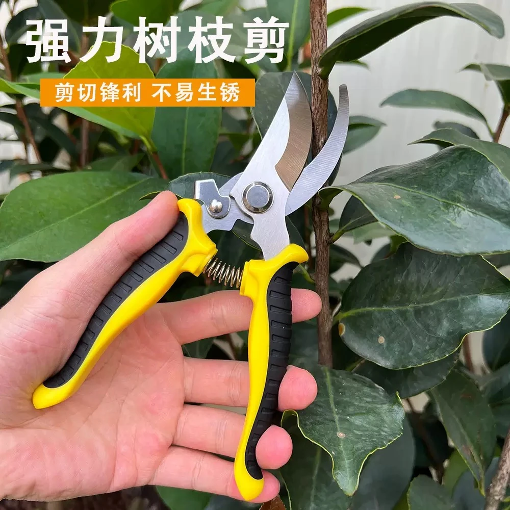 【清库存】园艺修枝剪果树剪园林多功能粗枝剪树枝用剪花修枝剪果剪
