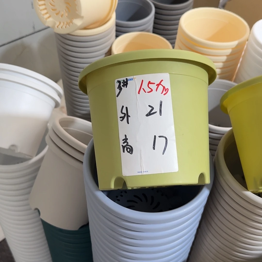 微瑕3号10个无托，果绿