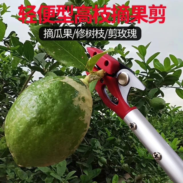 摘果剪猕猴桃打尖神器美枝王高空剪刀摘柠檬玫瑰抬剪树枝铝金手柄
