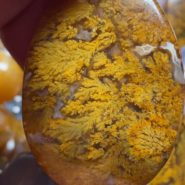 玛瑙/玉髓颈饰未镶嵌用****8