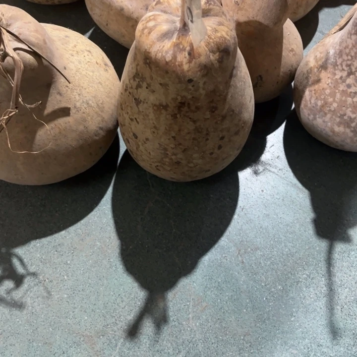 西****有机玻璃我们的确是一个很好的朋友