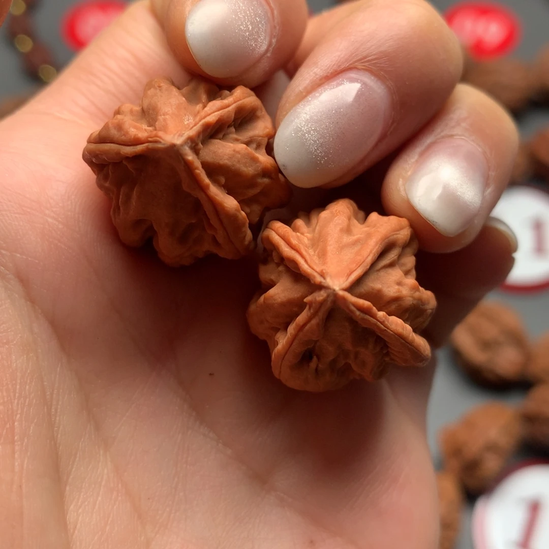 核桃20三棱一三一四