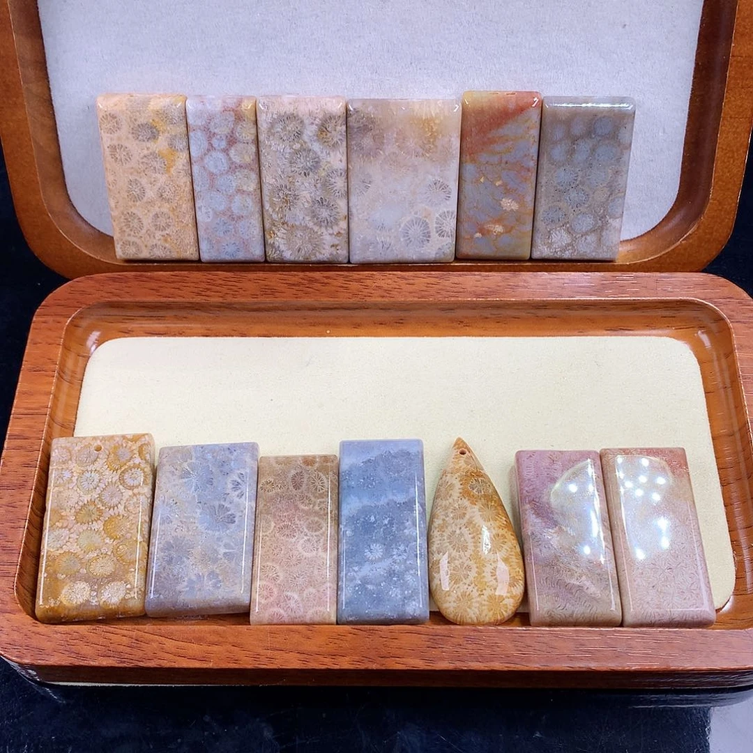 硅化珊瑚（珊瑚玉）未镶嵌吊坠(赠链)2号吊坠10元一个