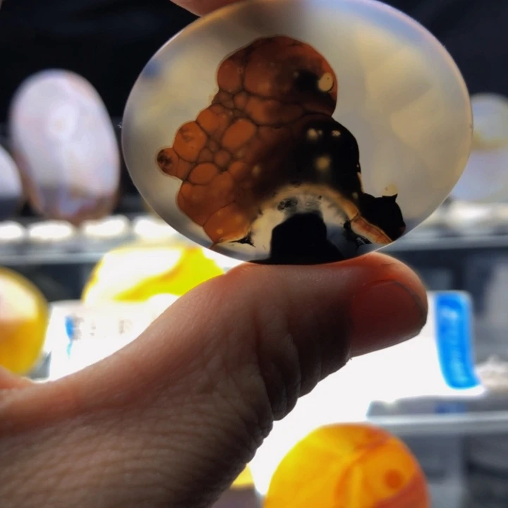 合金玛瑙/玉髓珠宝奇石171