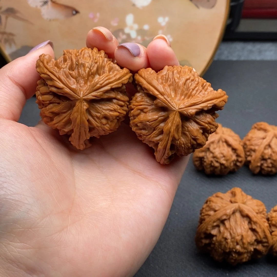 酱****店白狮子11111111111