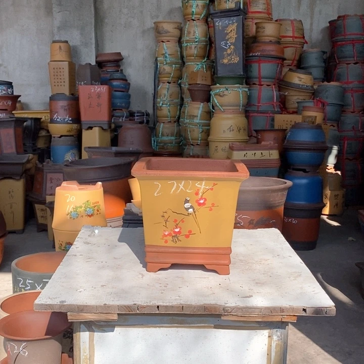 紫砂花盆盆栽花卉苗木种植