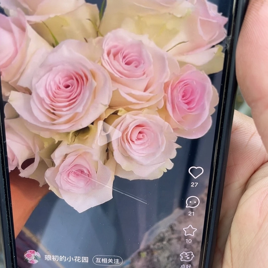 无花朵——-女孩 福利了
