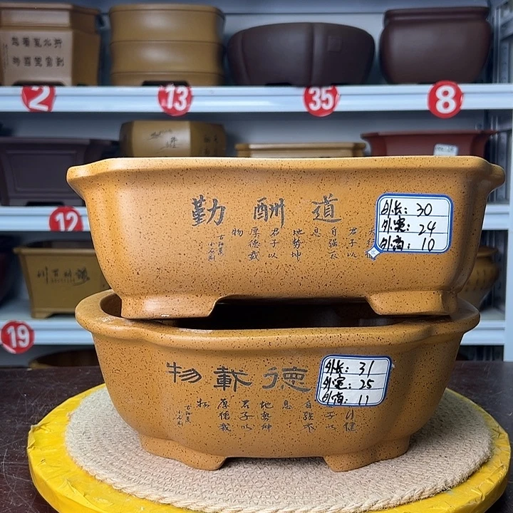 花盆紫砂蛇年大吉