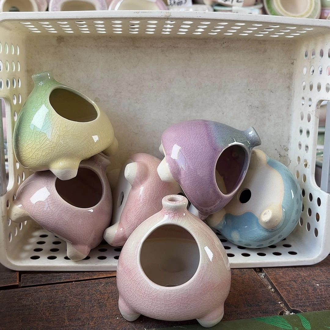 量货/口4高9深浅搭配发4