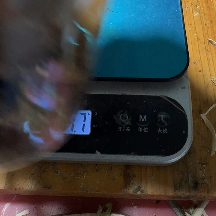 无花朵陆河颗粒料171克