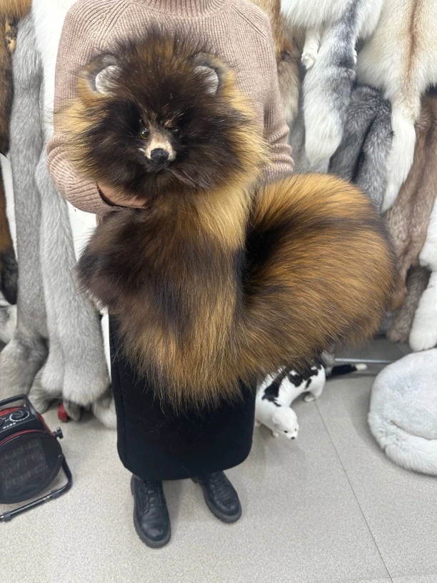 貉子大围脖摆件保暖