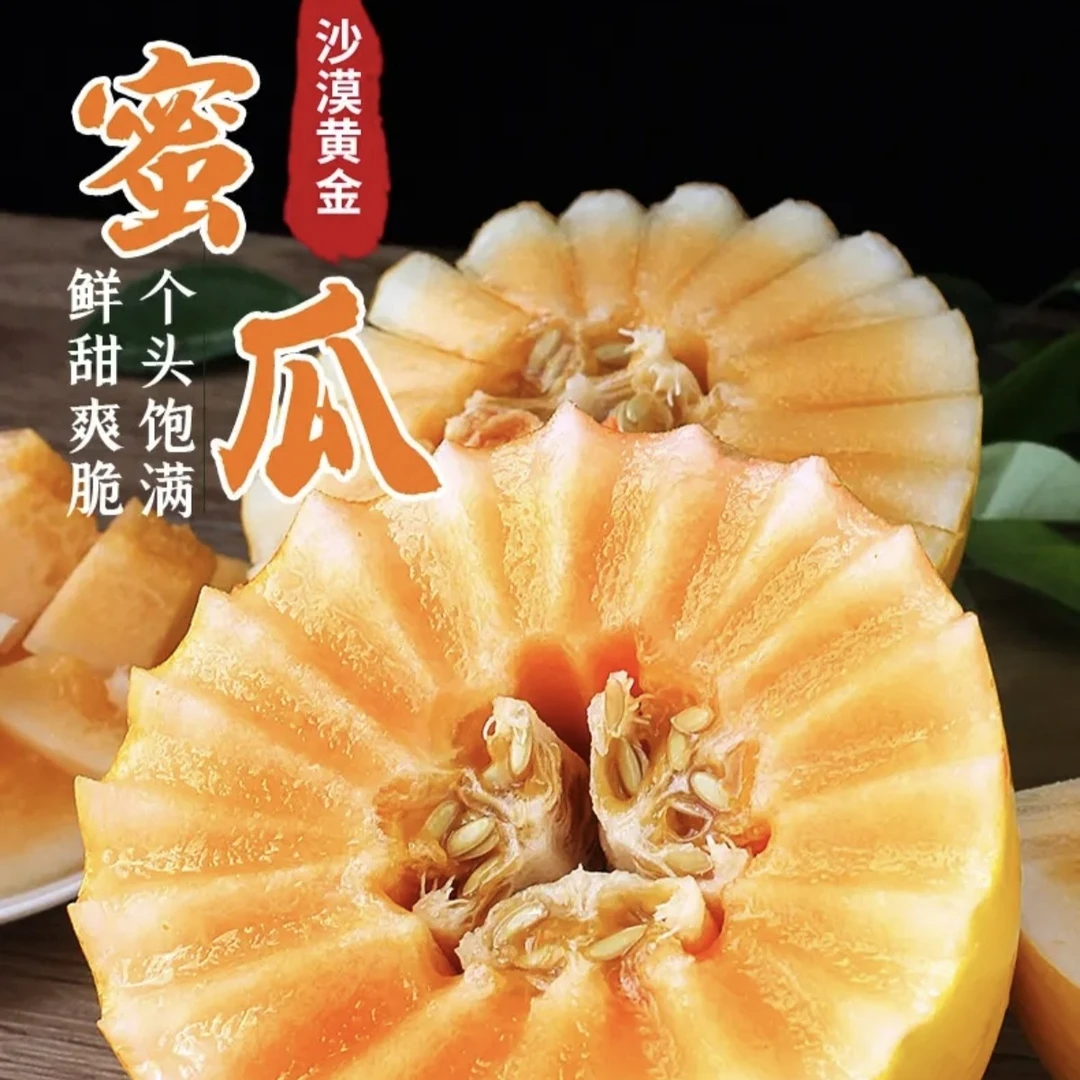 甘肃民勤沙漠蜜瓜金红宝产地直发