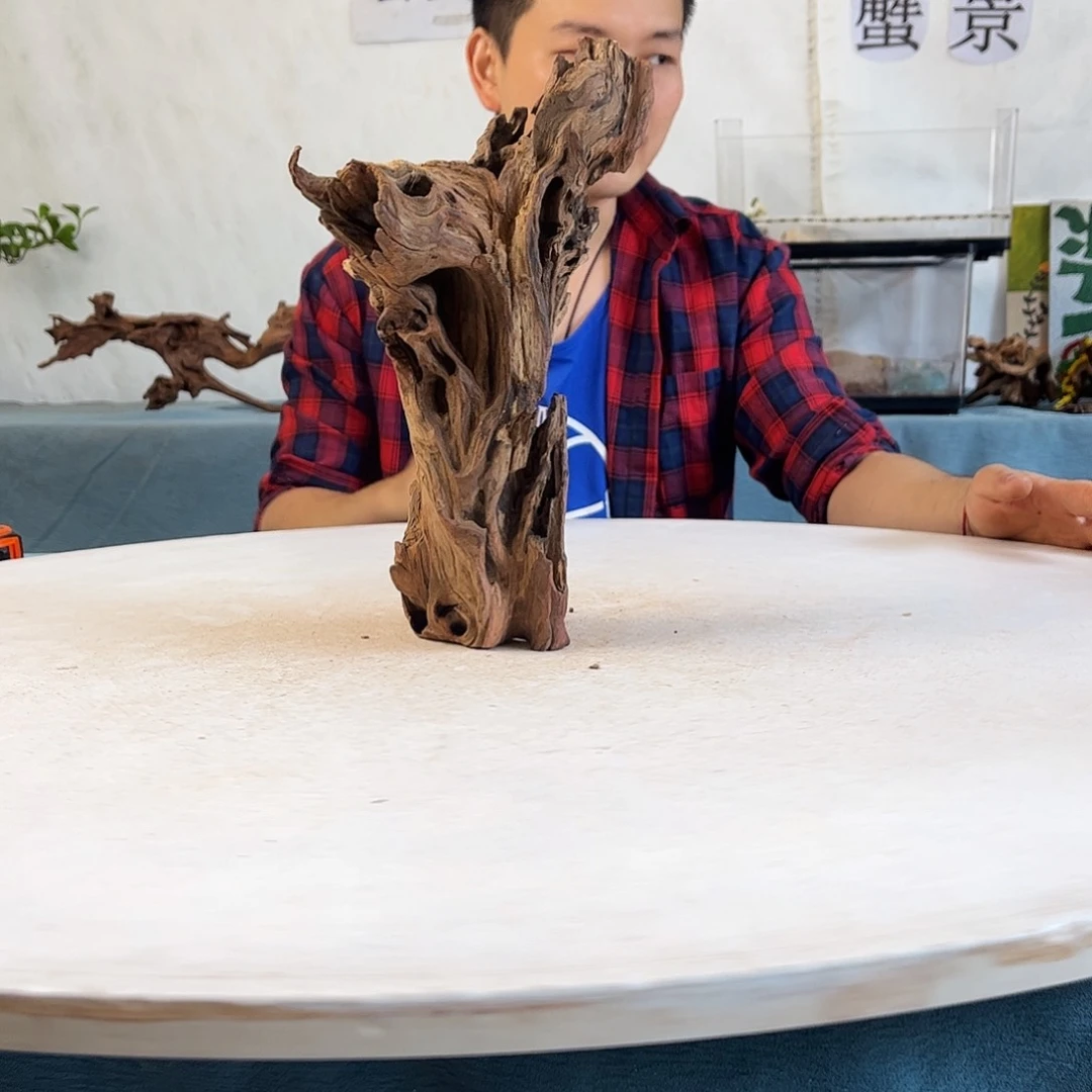 沉木造景寄居蟹景