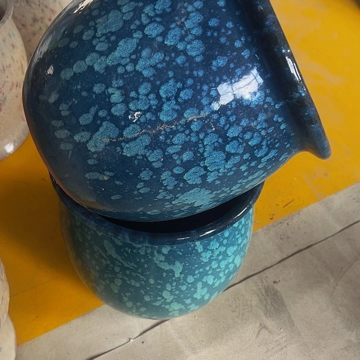 正品20/20两个处理