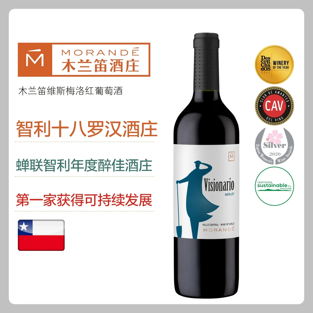 十八罗汉木兰笛维斯梅洛干红葡萄酒750ML
