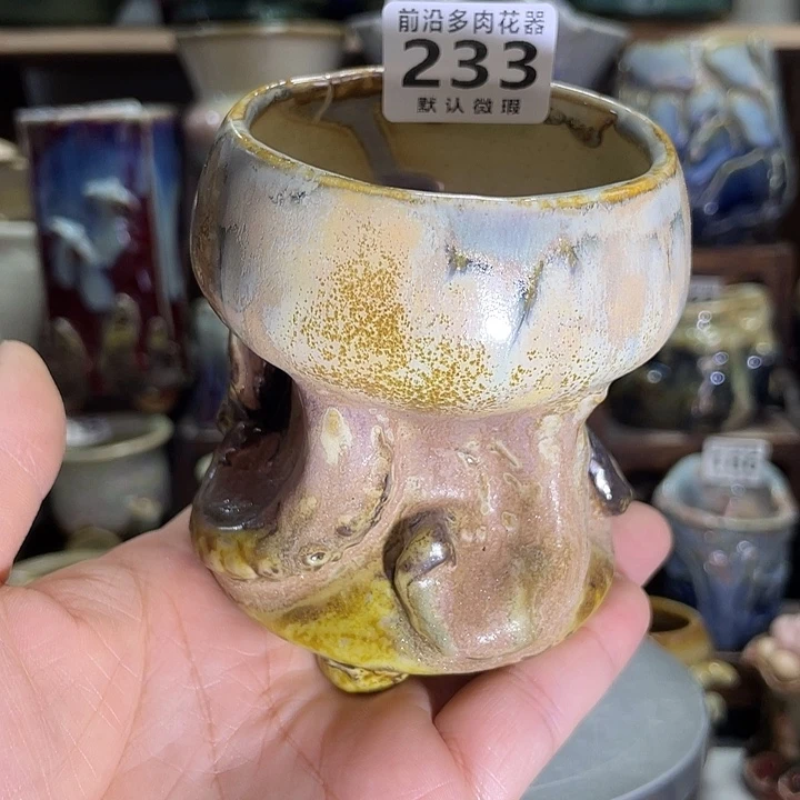 狼盆内口径6高度8