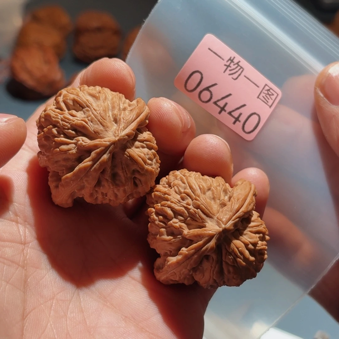 文玩核桃把件白狮子