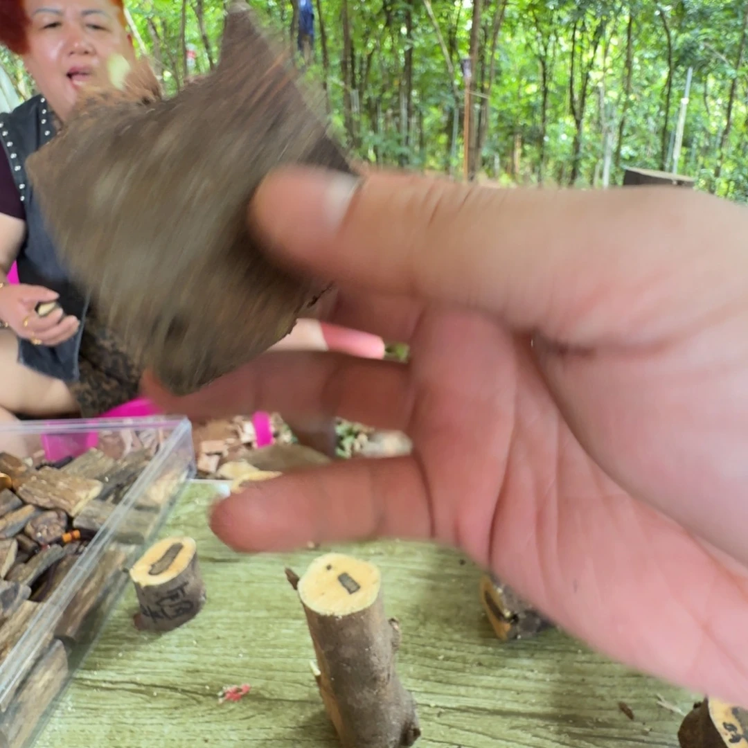 老***菜线香奇楠沉香原木