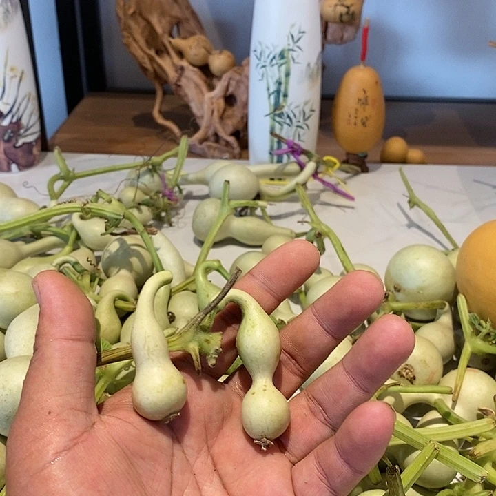 台****?精品葫芦手把葫芦58