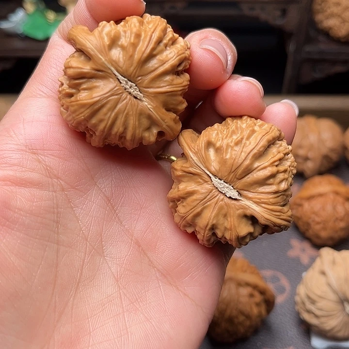 核桃40白狮子福利