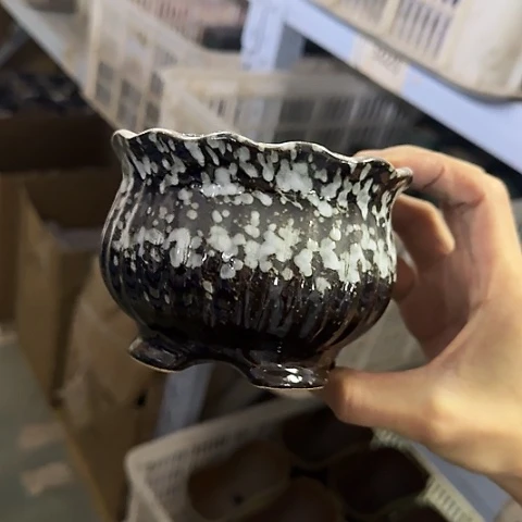 ·当场直播凑9发·慎拍·全是福利·5046