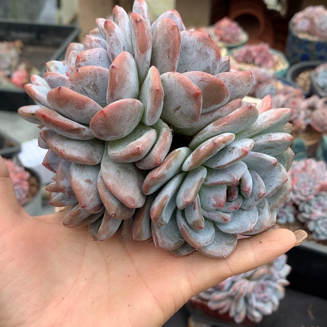 哈哈哈哈哈哈哈哈哈哈