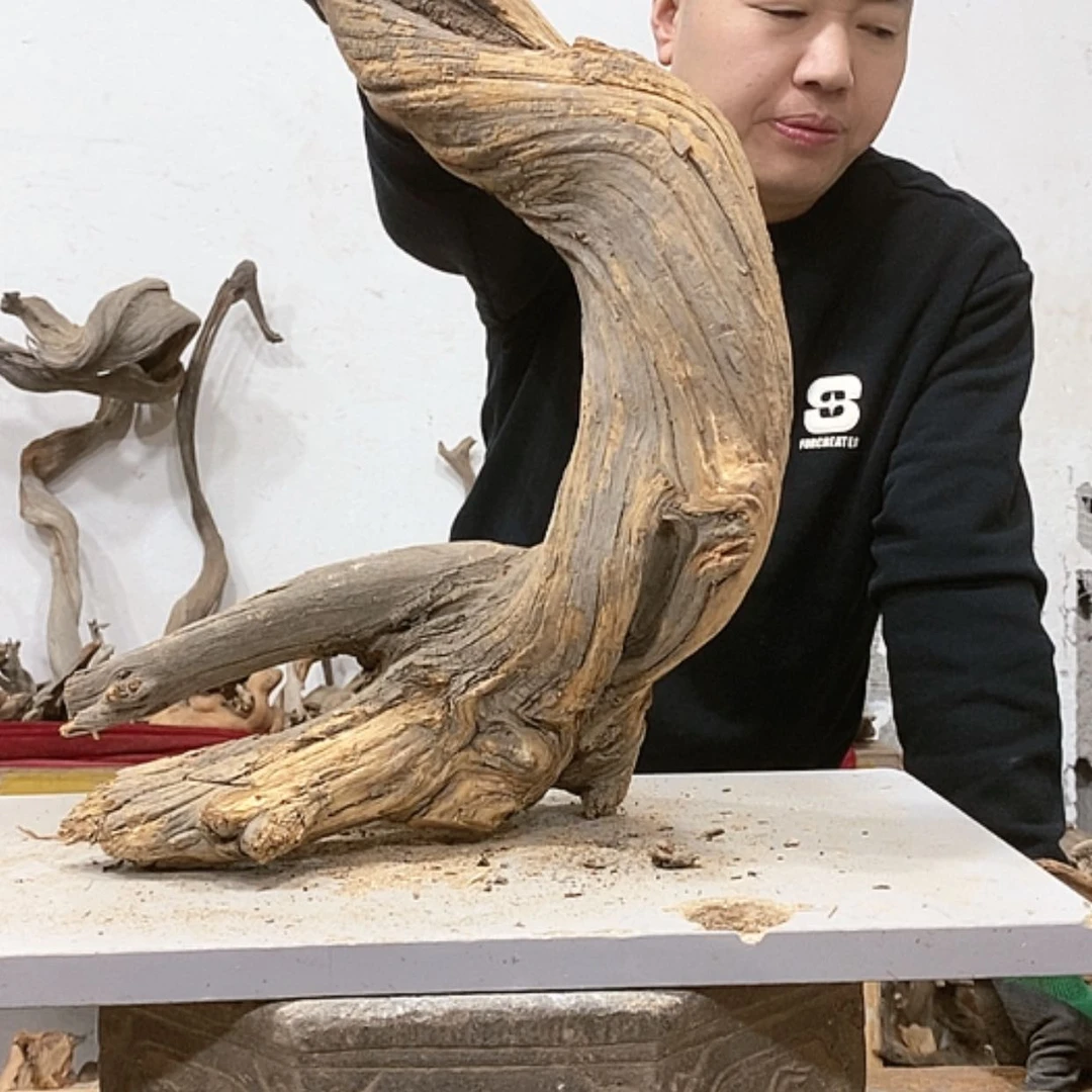 【闪购商品】柏木正****馆我们都是好孩子