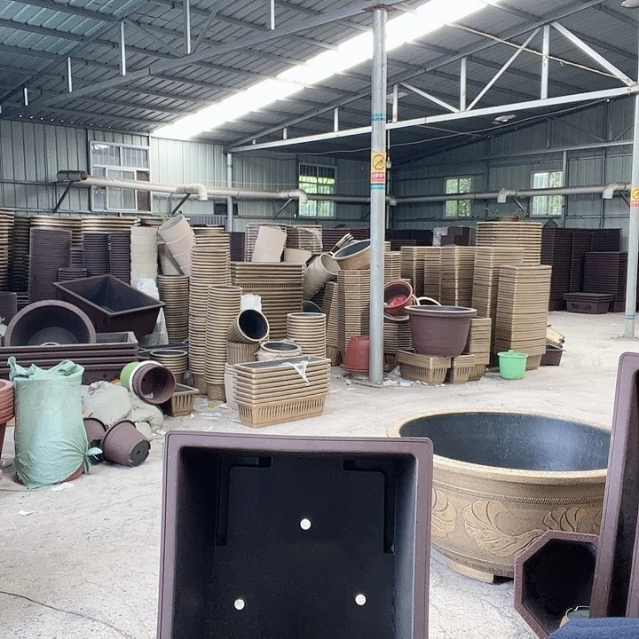 梅花照眼 依然旧风味