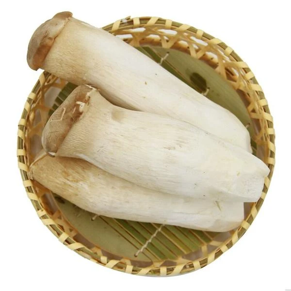 北京直发杏鲍菇500g±10g/份