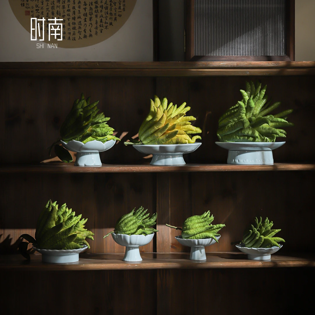 可水养佛手柑托盘陶瓷佛手瓜水培器皿佛手果专用花瓶放佛手的器物