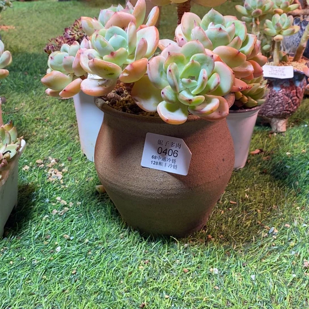 给***服0406啊啊啊啊啊啊啊啊啊