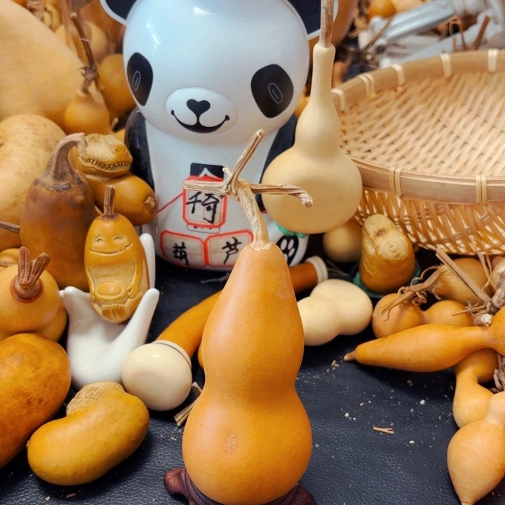 ✨***弟88888888888888888888