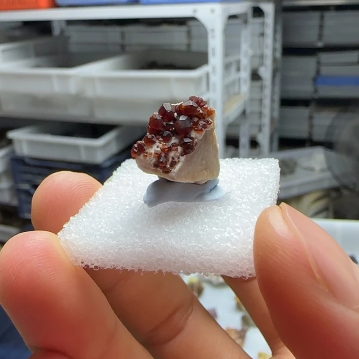 Y****昌化石印石原石料