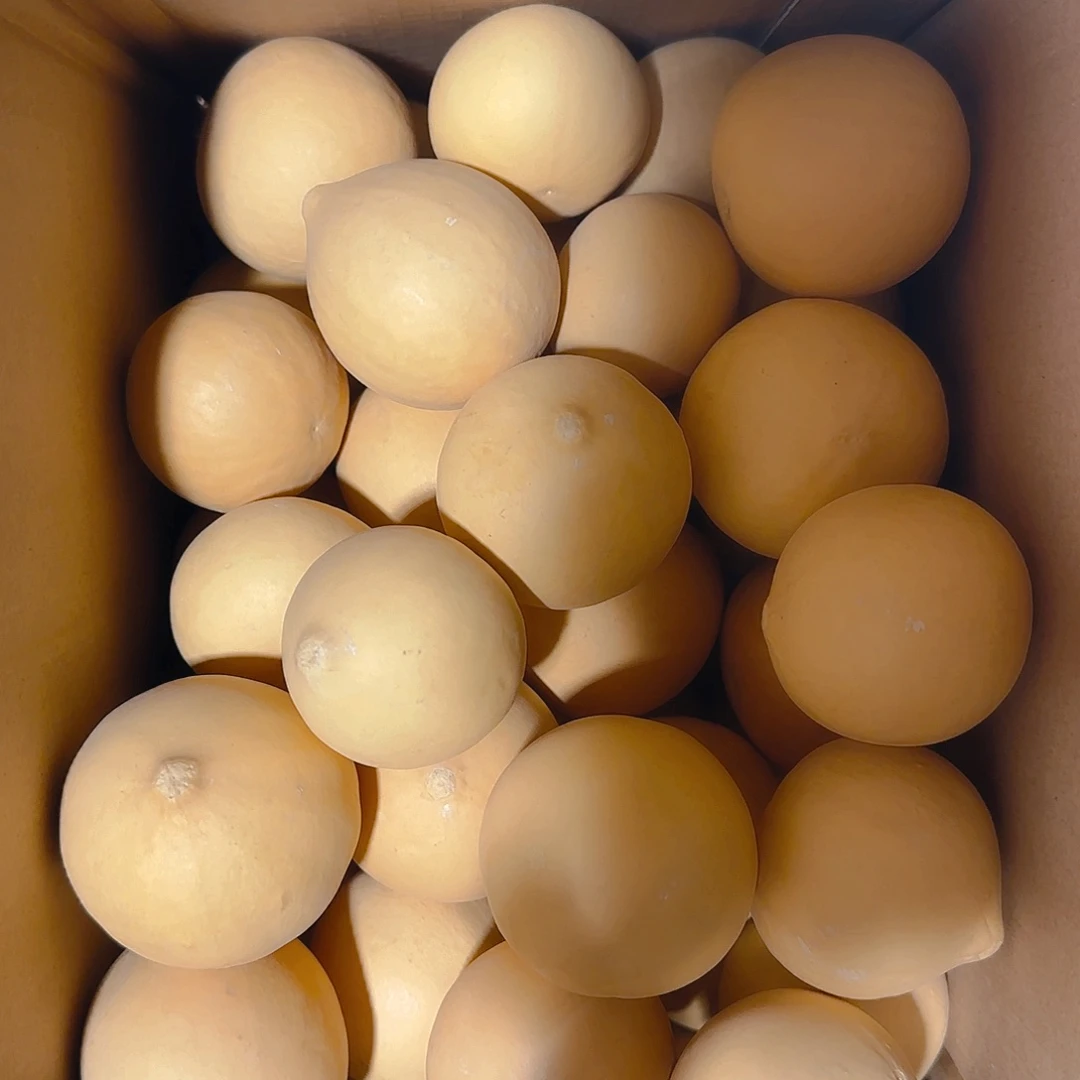 無***葫芦葫芦处理葫芦葫芦葫芦葫芦