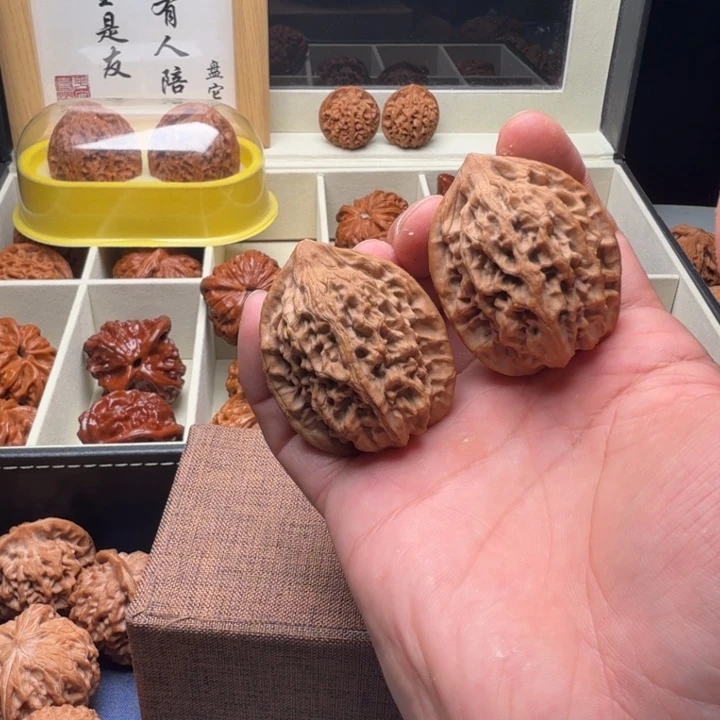 40尺正版宝鸡秦鸡