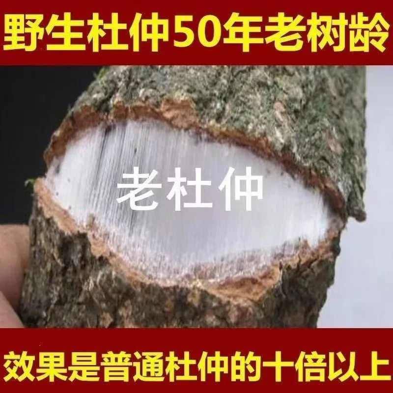 杜仲秦岭野生杜仲片片拉丝拉丝绵密打磨粗皮【泡茶泡酒煲汤】