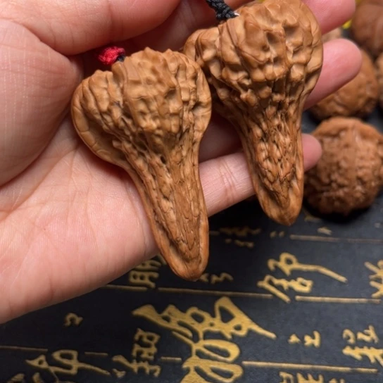 官帽异形鸭嘴高58尺