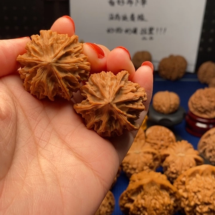 核桃35尺小正奔七山三棱