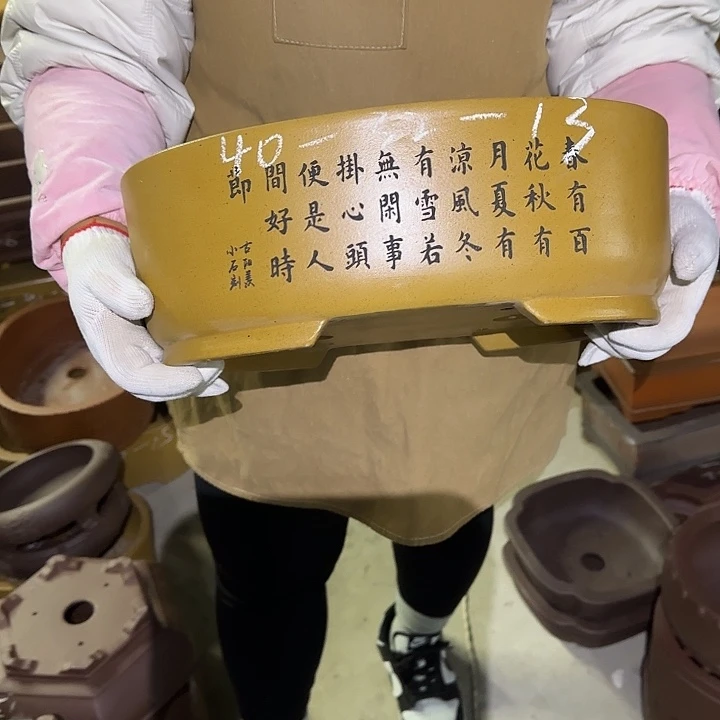 花盆紫砂你也快回来