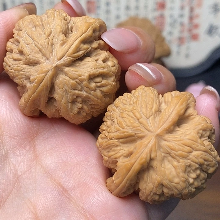 40全品边肚同尺粗筋