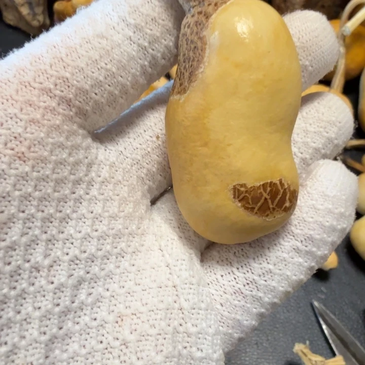 小***贝6666666666777777777