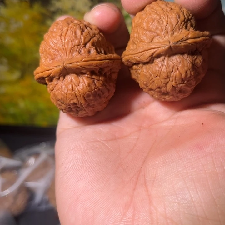 文玩核桃吊坠滇西84